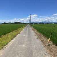 20歳、先を見る